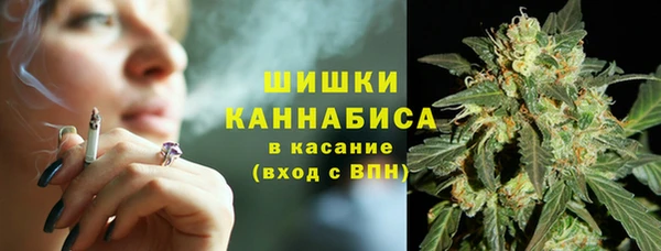 гашик Иннополис