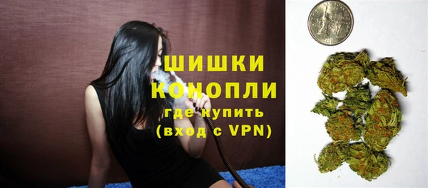 молекула духа Зеленокумск