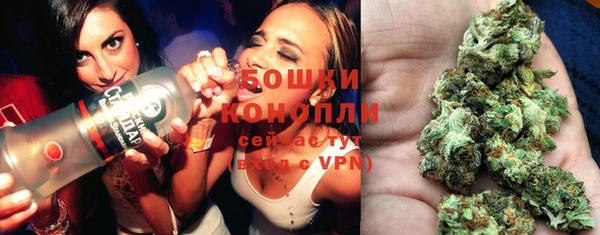 a pvp Инсар