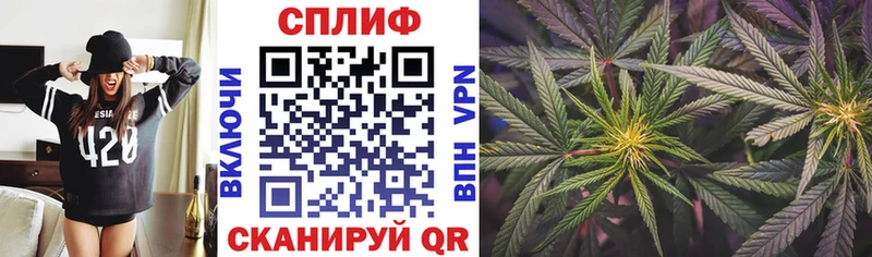 Конопля конопля  Купить  Михайловск 